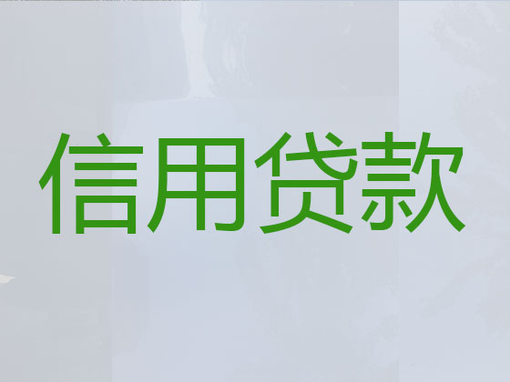 驻马店贷款公司-信用贷款